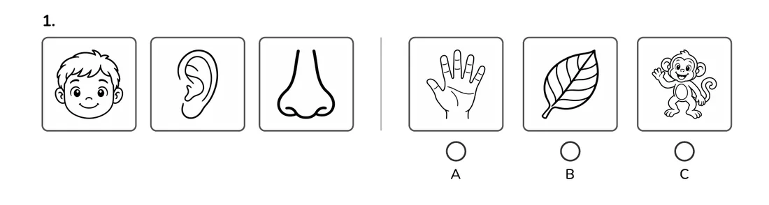 Picture Classification question 1 from the Gradecairn Grade 2 workbook